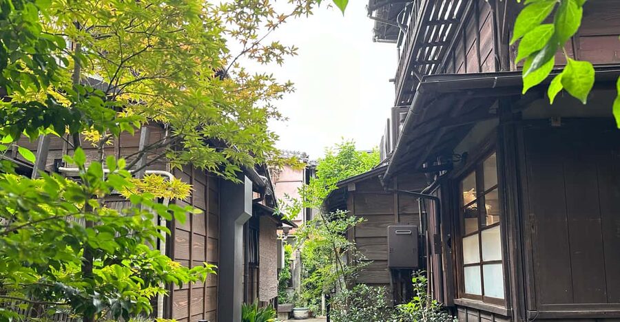 Tokyo:Stroll in Old traditional culture towns~Yanaka & Nezu - Nezu Shrine and the red torii path
