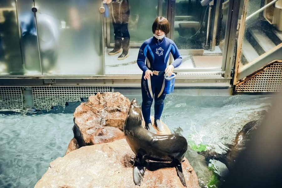 Tokyo: Sumida Aquarium Entry Ticket - Who will enjoy Sumida Aquarium most?