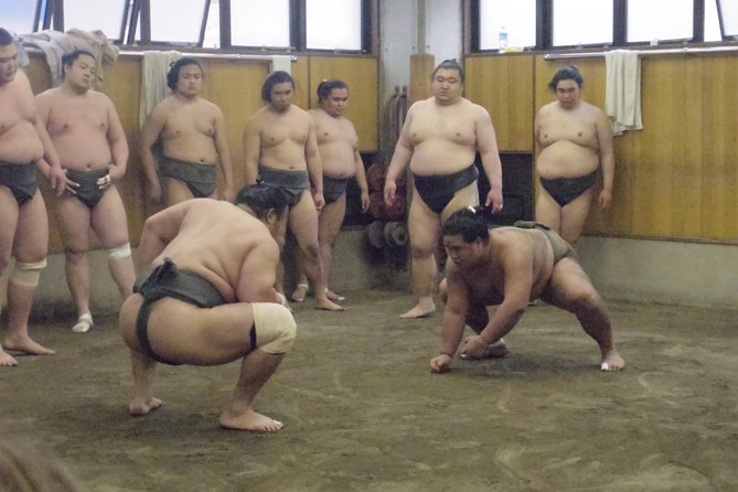 Tokyo Sumo Morning Practice Tour at Stable - Inside the stable: close seats and strict silence