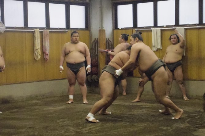 Tokyo Sumo Morning Practice Tour at Stable - What you actually watch during the training