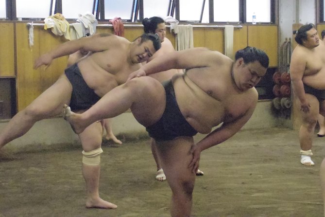 Tokyo Sumo Morning Practice Tour at Stable - Summer heat and practical comfort