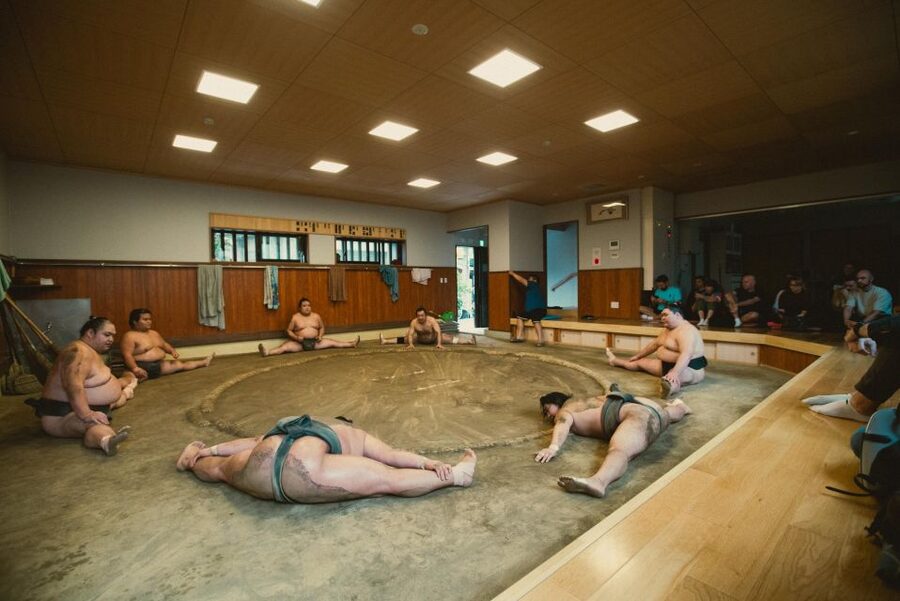Tokyo: Sumo Morning Practice Tour at Sumida City - Watching 90 Minutes of Sumo Training