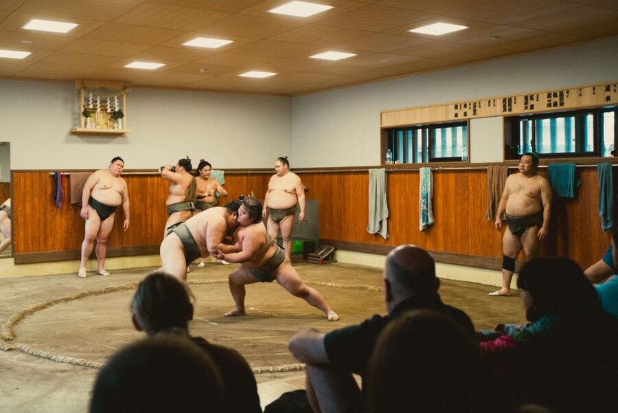 Tokyo: Sumo Morning Practice Tour at Sumida City - The Guide’s Role: Rituals, Rules, and Context