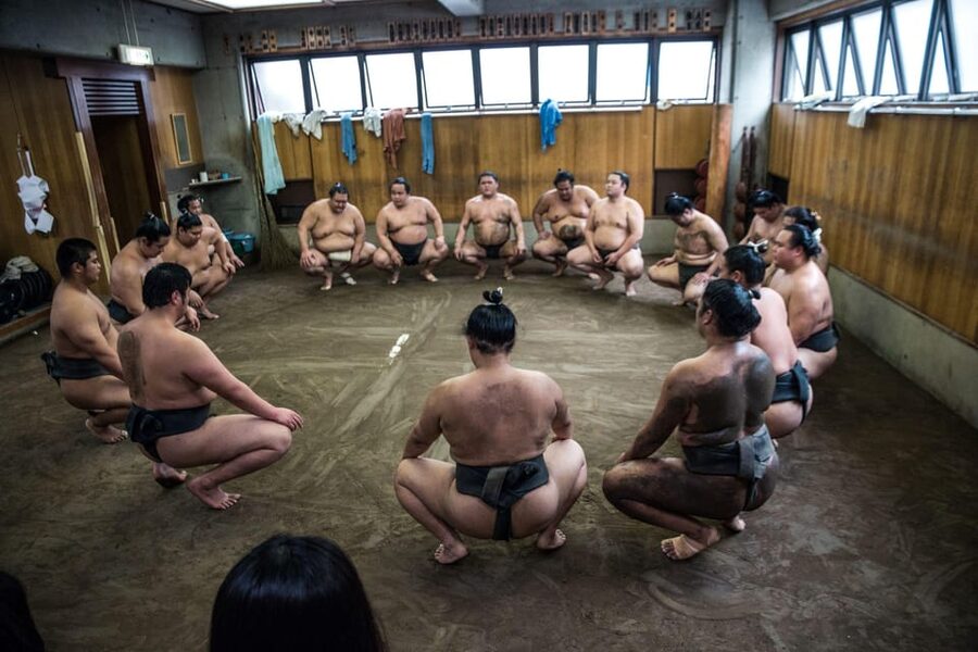 Tokyo: Sumo Morning Practice Viewing Tour - How to fit it into a Tokyo day