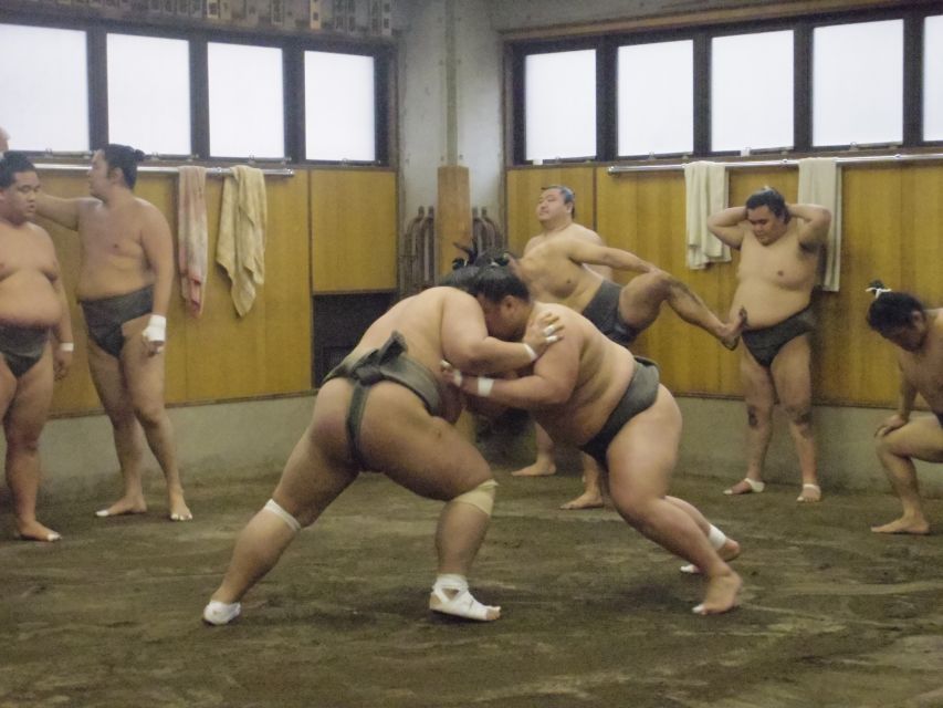 Tokyo: Sumo Morning Practice Viewing Tour - Why a stable visit beats a staged sumo show