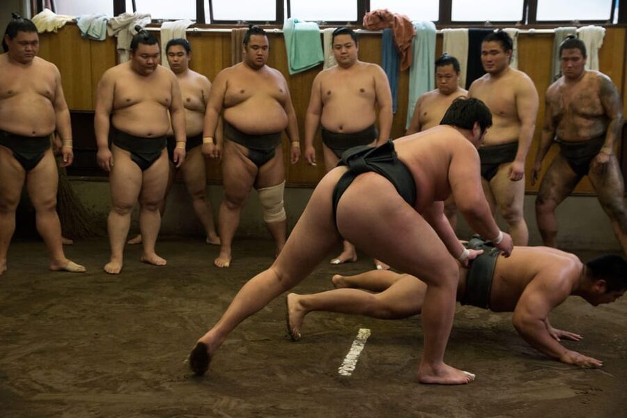 Tokyo: Sumo Morning Practice Viewing Tour - What the tour teaches about sumo culture