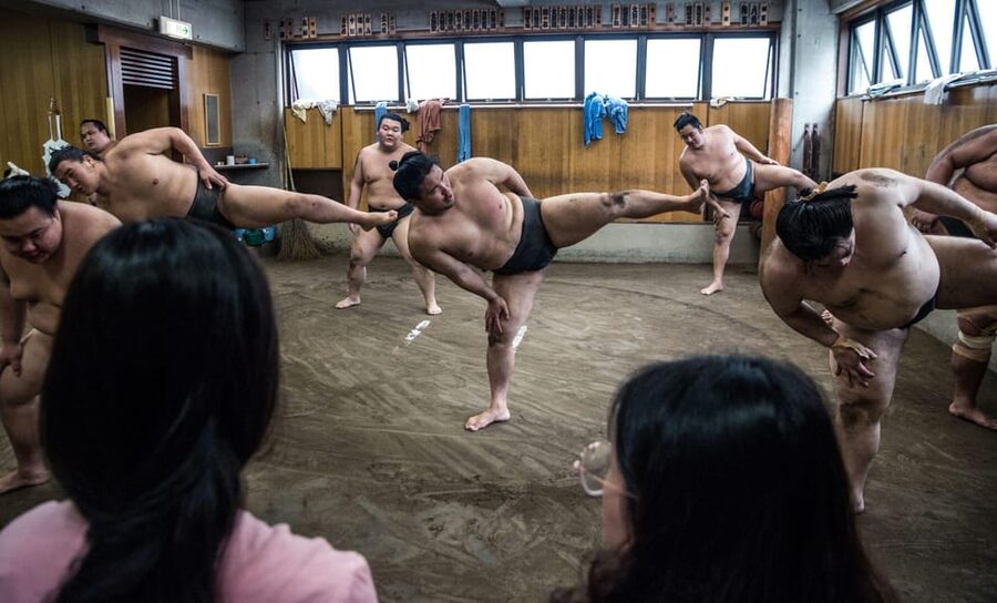 Tokyo: Sumo Morning Practice Viewing Tour - Is $81 a fair price?