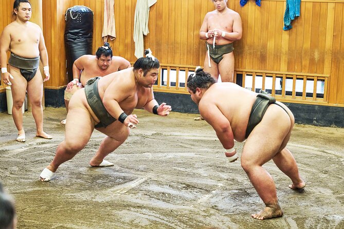 Tokyo: Sumo Morning Practice Viewing Tour at a Real Stable - Key Points Before You Book