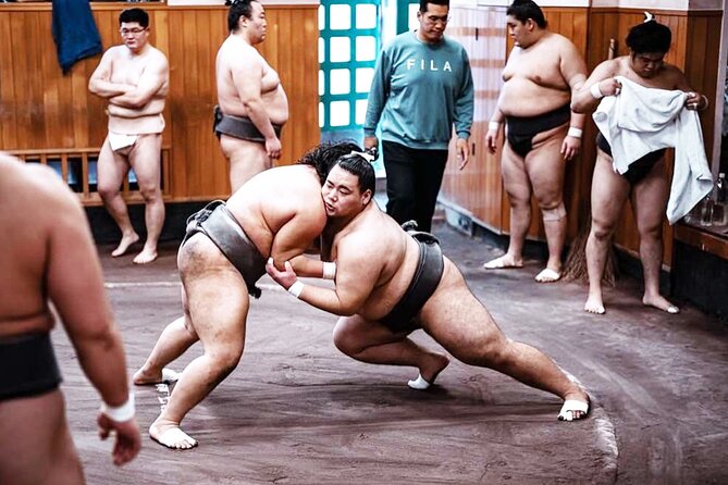 Tokyo: Sumo Morning Practice Viewing Tour at a Real Stable - Who Should Take This Tour?