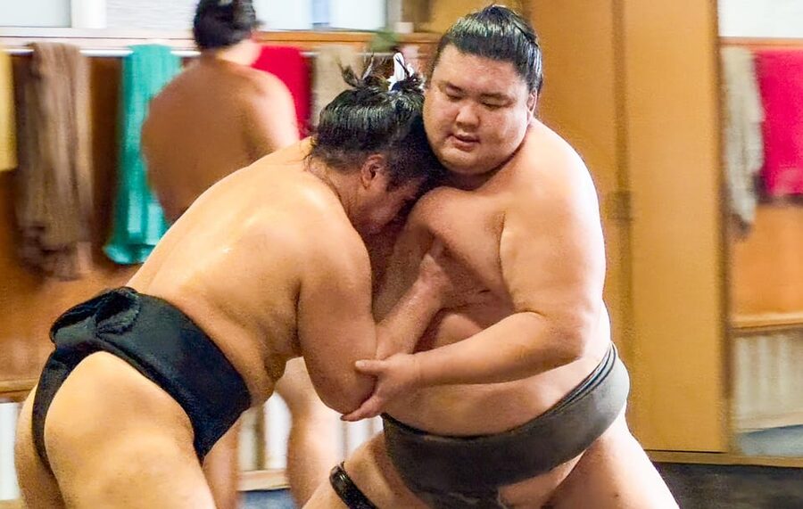 Tokyo: Sumo Morning Practice with journalists. Not fake show - Key points at a glance