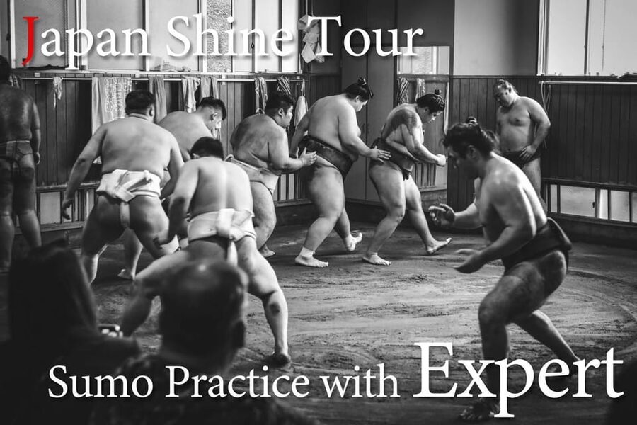 Tokyo: Sumo Morning Practice with journalists. Not fake show - Why this is not a fake sumo show