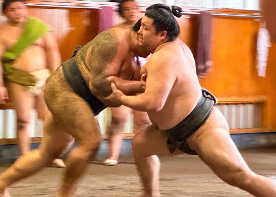 Tokyo: Sumo Morning Practice with journalists. Not fake show - Meeting in Ryogoku and moving to the stable