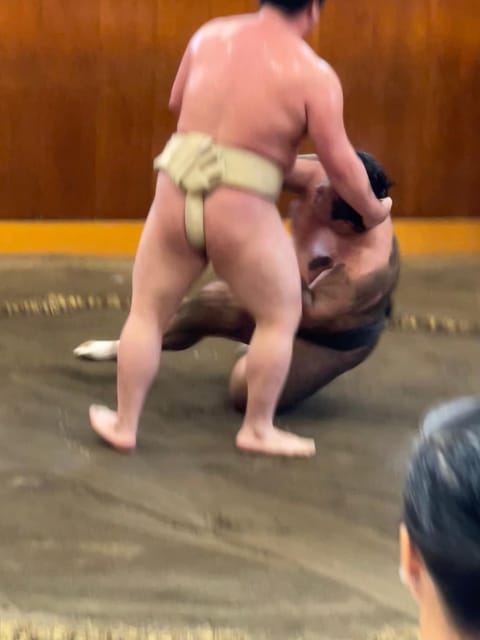Tokyo: Sumo Morning Practice with Photo Banzuke and Guide - Two and a half hours beside the dohyo