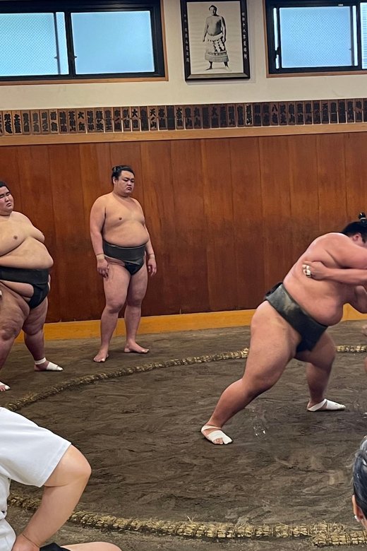 Tokyo: Sumo Morning Practice with Photo Banzuke and Guide - Should you book this Tokyo sumo experience?