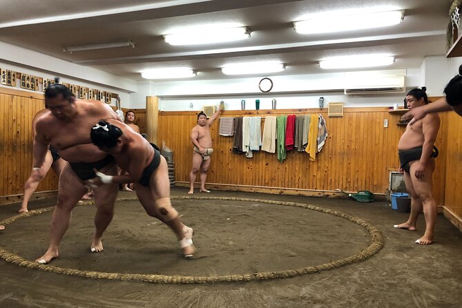 Tokyo Sumo Morning Training/ Sumo Practice with Wrestlers - Is $99.10 a Fair Price?