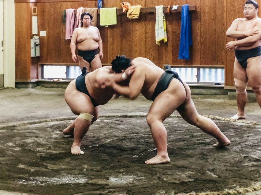Tokyo: Sumo Morning Training Visit - Why the close distance changes the experience