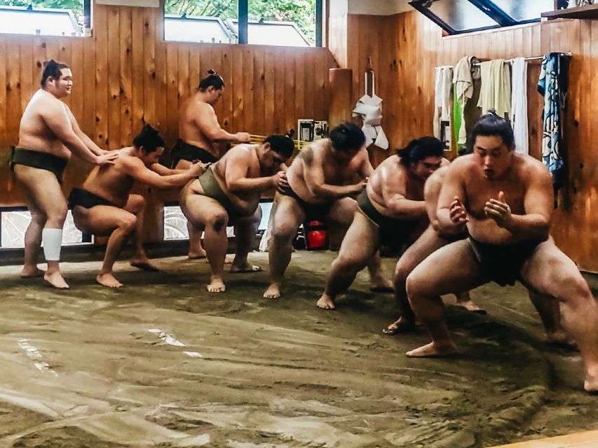 Tokyo: Sumo Morning Training Visit - Sitting still for an hour, or possibly much longer