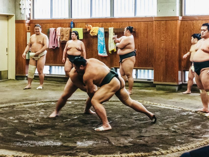 Tokyo: Sumo Morning Training Visit - Who will enjoy this morning most