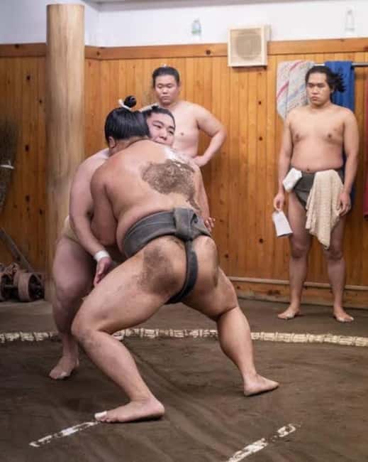 Tokyo: Sumo Show and Experience in Shinjuku - Key things to know before you book