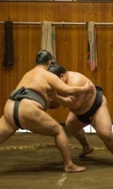 Tokyo: Sumo Show and Experience in Shinjuku - What this Shinjuku sumo show really offers