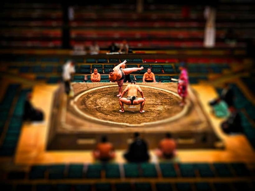 Tokyo: Sumo Tournament with Guide & Assigned Reserved Seat - What the group format feels like