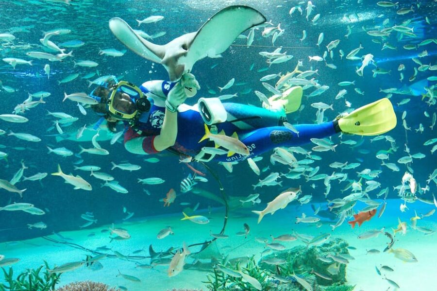 Tokyo: Sunshine Aquarium Entry Ticket - Key points to know before you go