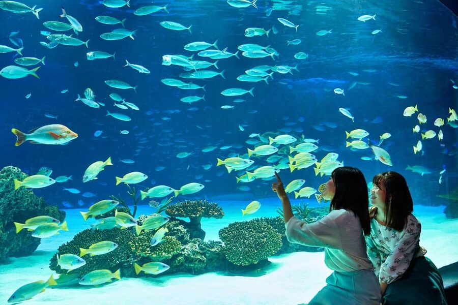 Tokyo: Sunshine Aquarium Entry Ticket - A rooftop aquarium in the middle of Ikebukuro