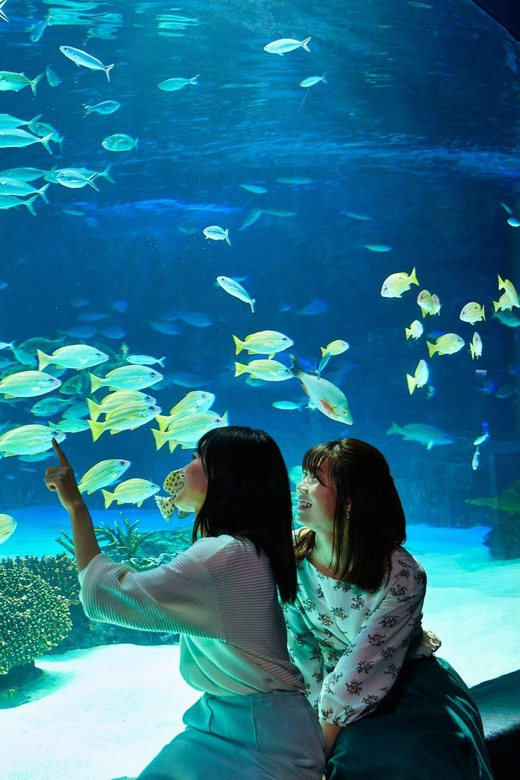Tokyo: Sunshine Aquarium Entry Ticket - How to decide if this ticket belongs in your Tokyo plans
