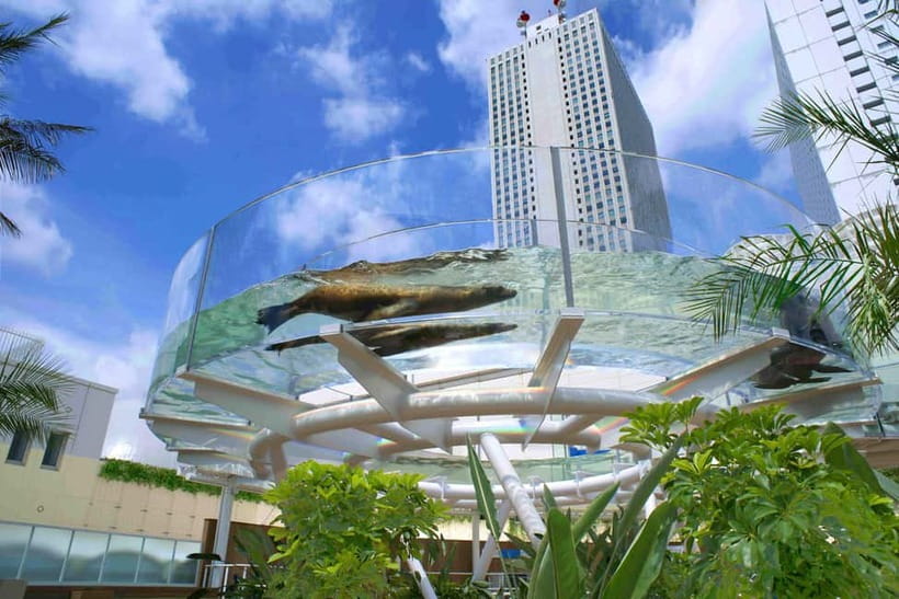Tokyo: Sunshine Aquarium Entry Ticket - The Penguins in the Sky tank is the main event