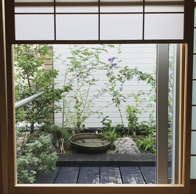 Tokyo: Tea Ceremony Experience in a small tea room - Mari’s Teaching Style