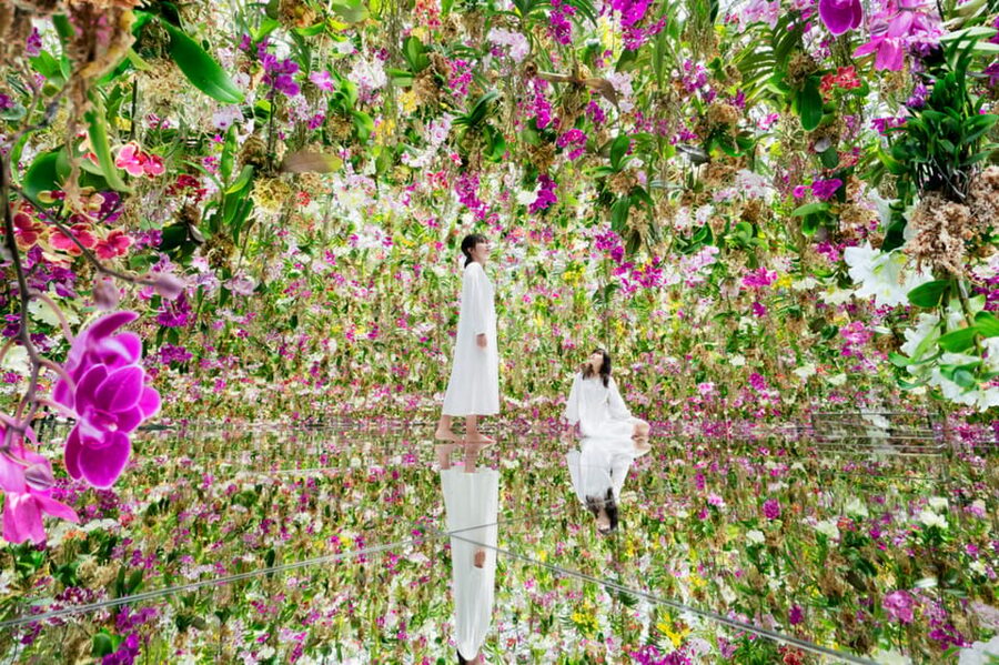 Tokyo: teamLab Planets TOKYO Digital Art Museum Entry Ticket - Key points before you book