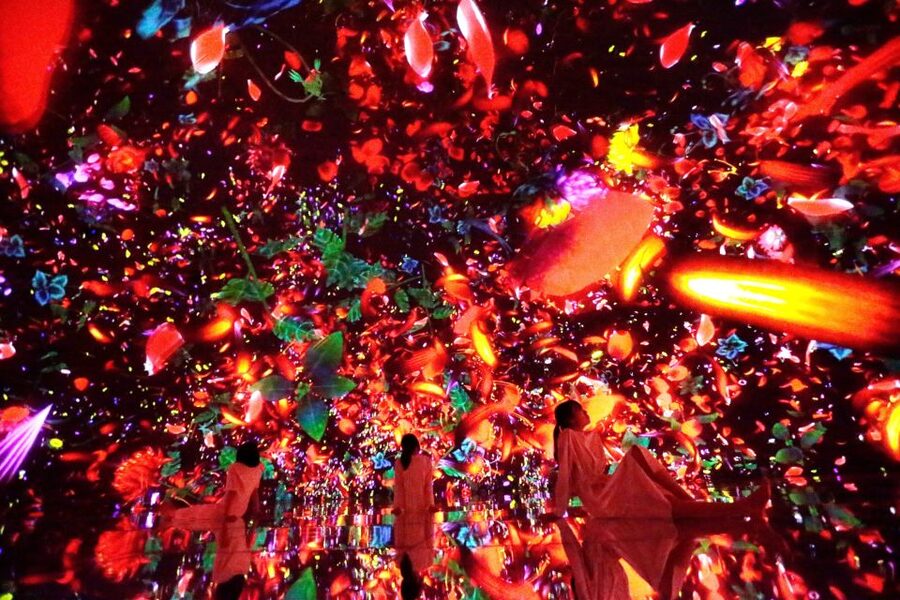 Tokyo: teamLab Planets TOKYO Digital Art Museum Entry Ticket - Who will enjoy teamLab Planets most?