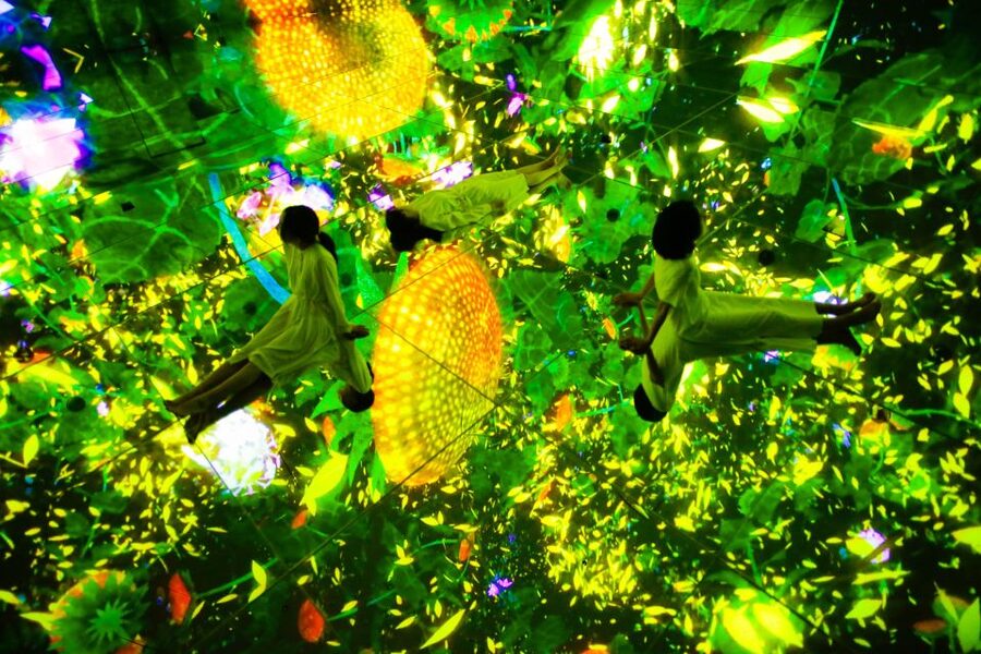Tokyo: teamLab Planets TOKYO Digital Art Museum Entry Ticket - Flower rooms: slow down and look up