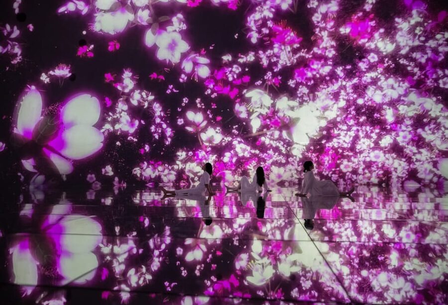 Tokyo: teamLab Planets TOKYO Digital Art Museum Entry Ticket - Light, sound, and the five-senses approach