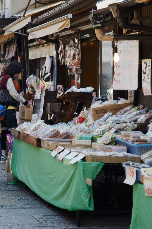 Tokyo to Kawagoe: Private Historical Day Trip - Walking, weather, and practical comfort