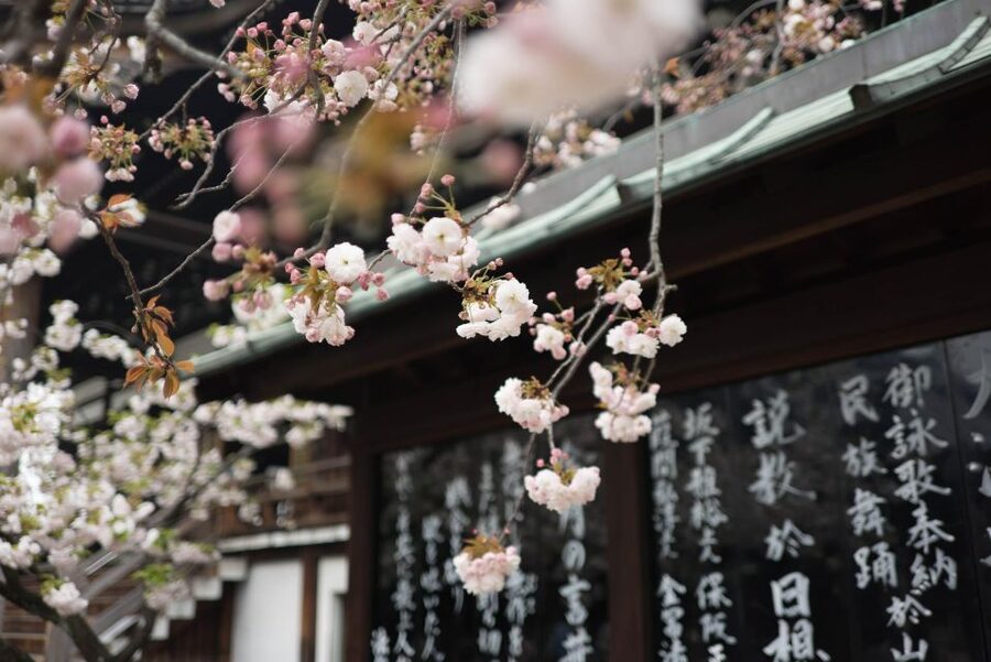 Tokyo to Kawagoe: Private Historical Day Trip - How the guides shape the day