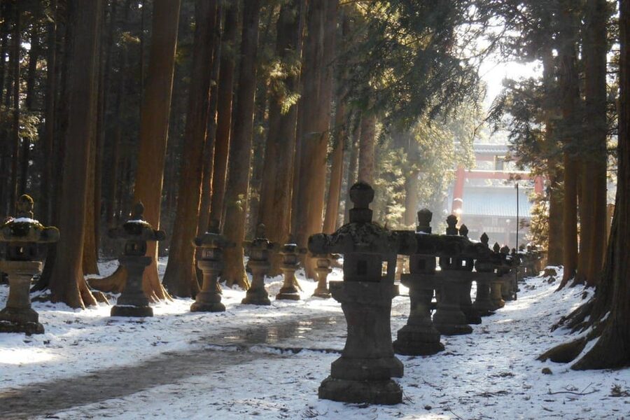 Tokyo To Mount FUJI Day Trip With English guide - Hakone: a final lake-and-boat change of scene