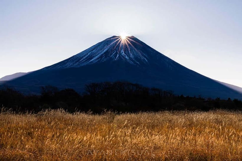 Tokyo To Mount FUJI Day Trip With English guide - Kitaguchi-hongu Fuji Sengen Shrine: a quieter cultural pause