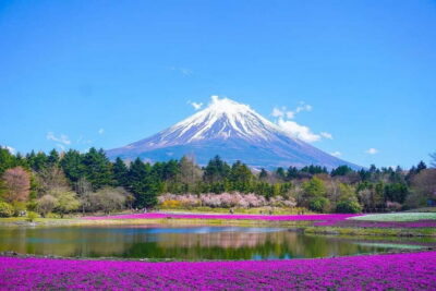 Tokyo To Mount FUJI Day Trip With English guide