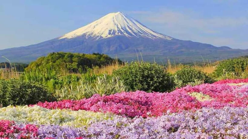 Tokyo To Mount FUJI Day Trip With English guide - Gotemba Premium Outlets: useful, but easy to overstay