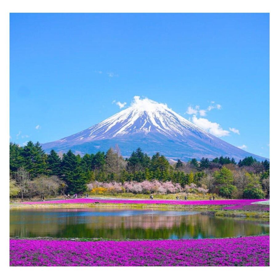 “Tokyo to Mt. Fuji & Hakone: Private Customizable Day Trip” - Food, tickets, and what you will pay extra for