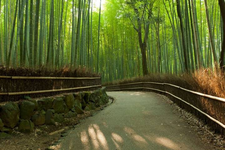 Tokyo to Osaka by Rail - Private Tour with Explore! - 14 Days Review - Kanazawa: samurai lanes and garden craft