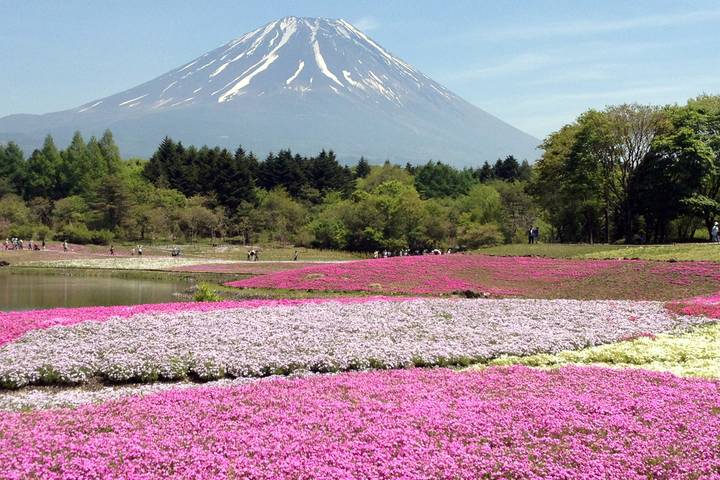 Tokyo to Takayama - 13 days by On The Go Tours Review - Tokyo: temples, museums and a little free time