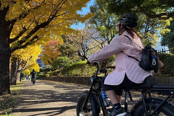 Tokyo Top Highlights 3h Guided E-bike Tour - Weather, timing, and cancellation details