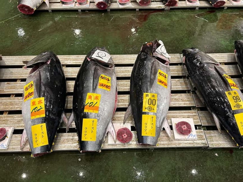 Tokyo Toyosu Tuna Auction + Breakfast (Sushi Dai or Bentomi) - Why Toyosu tuna auction is worth the early alarm