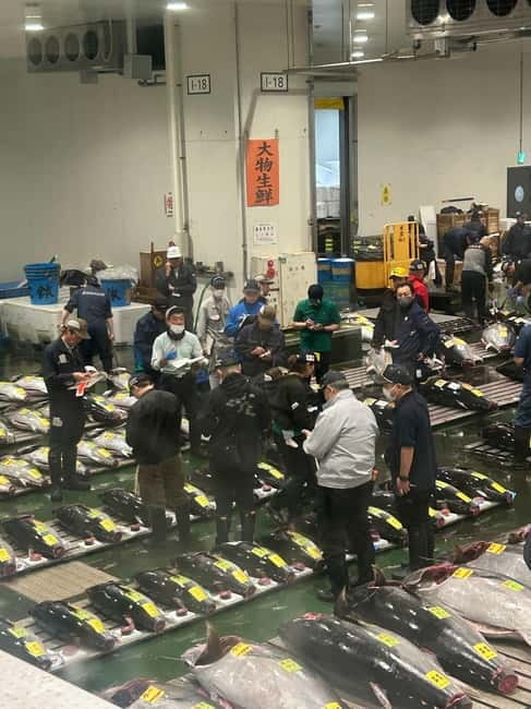 Tokyo Toyosu Tuna Auction + Breakfast (Sushi Dai or Bentomi) - Meeting a tuna wholesaler after the auction