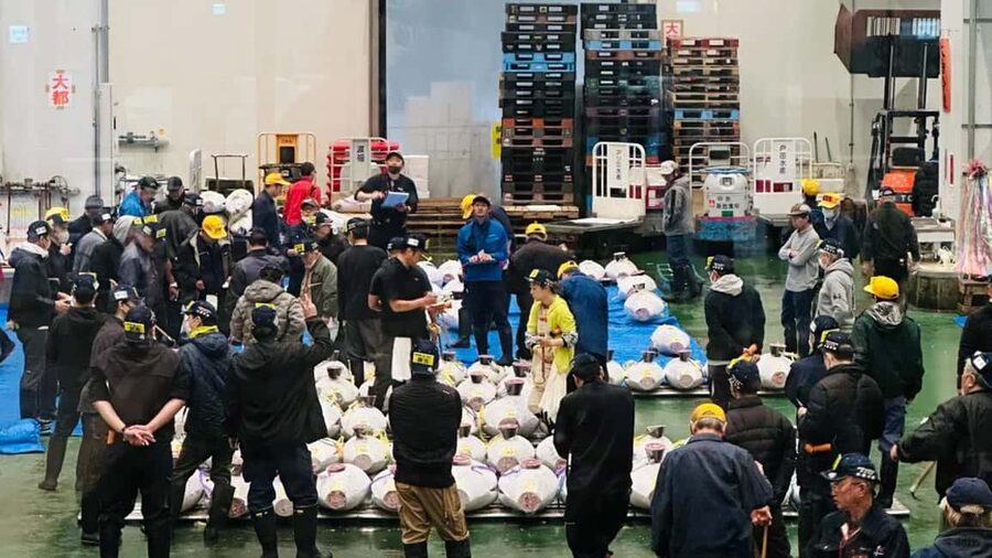 Tokyo: Toyosu Tuna Auction &Tsukiji Market Gourmet Adventure - A short look inside Toyosu Market