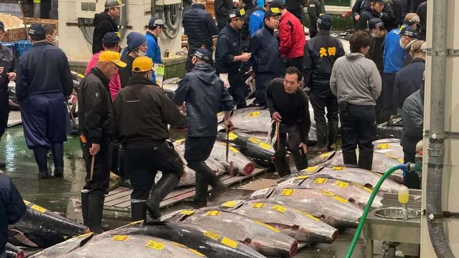 Tokyo: Toyosu Tuna Auction &Tsukiji Market Gourmet Adventure - Tsukiji’s small shops and traditional food culture