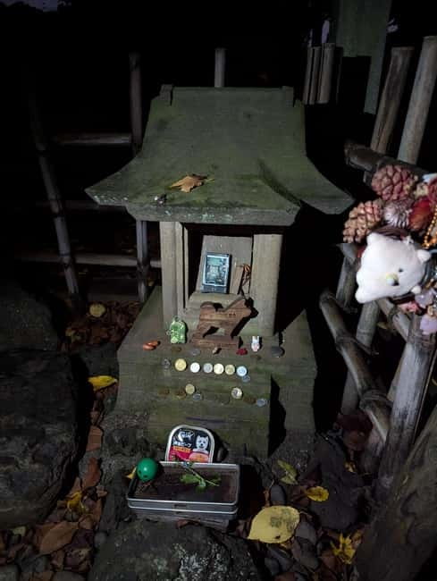 Tokyo: True Crime And Ghost Stories Tour - Starting at Hanazono Shrine beside Golden Gai