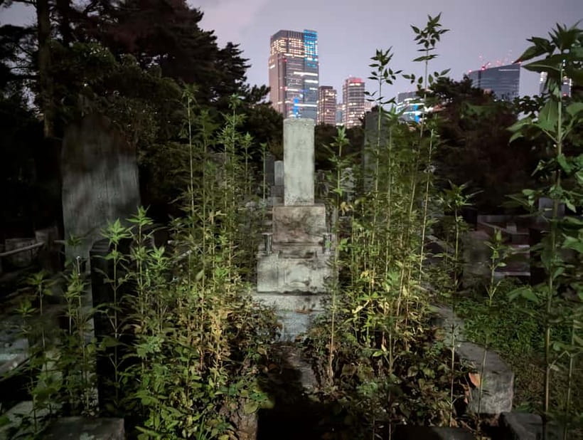 Tokyo: True Crime And Ghost Stories Tour - John’s storytelling makes or breaks the evening